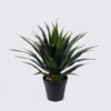 Artificial Plant Agave in PP pot 37 lvs GS-41925007_5 Artificial Plant 55*55*65cm Agave in PP pot/37 lvs GS-41925007 2025May YeahFlower is one of Chinese leading OEM manufacturers and exporters , supplying the silk flowers, wholesale artificial trees