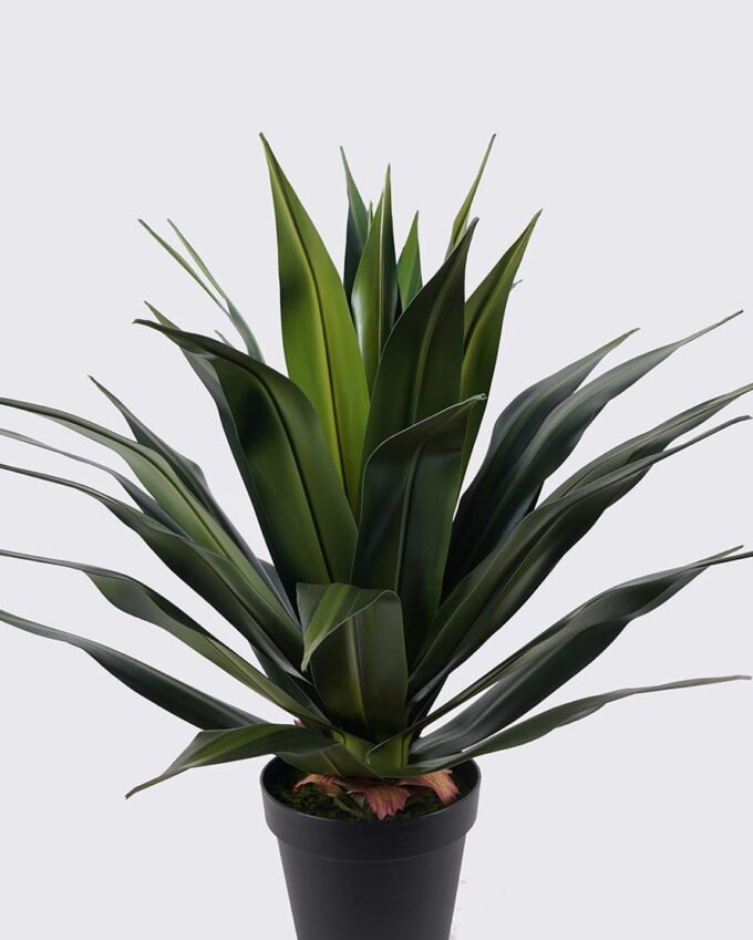 Artificial Plant Agave in PP pot 37 lvs GS-41925008_7 Artificial Plant 60*60*85cm Agave in PP pot/37 lvs GS-41925008 2025May YeahFlower is one of Chinese leading OEM manufacturers and exporters , supplying the silk flowers, wholesale artificial trees