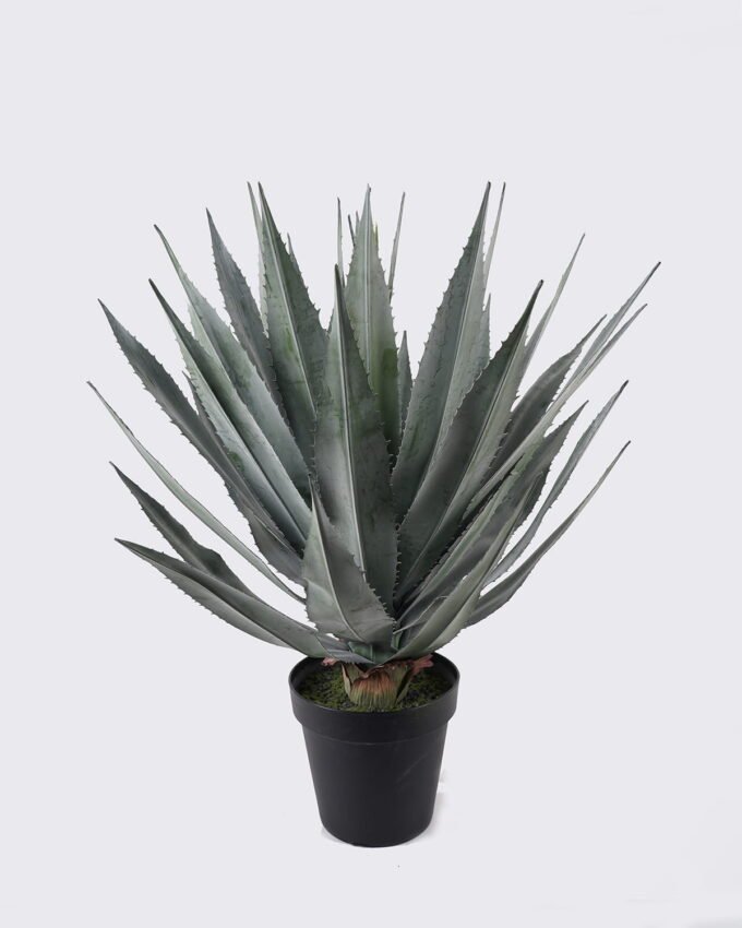 Artificial Plant 65*65*87cm Agave in PP pot/37 lvs GS-41925010 2025May YeahFlower is one of Chinese leading OEM manufacturers and exporters , supplying the silk flowers, wholesale artificial trees