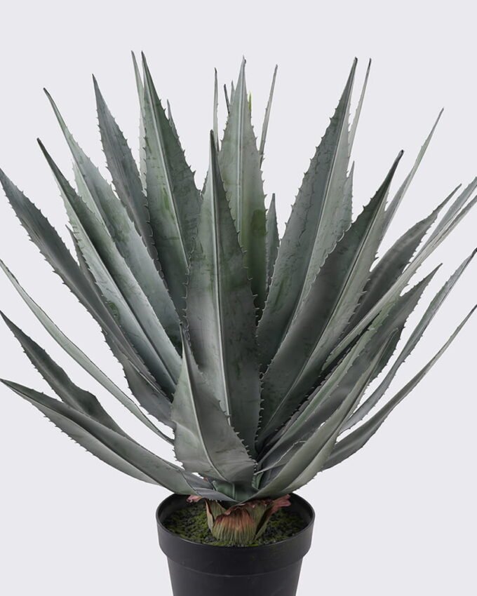 Artificial Plant 65*65*87cm Agave in PP pot/37 lvs GS-41925010 2025May YeahFlower is one of Chinese leading OEM manufacturers and exporters , supplying the silk flowers, wholesale artificial trees
