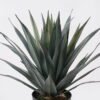 Artificial Plant 60*60*65cm Agave in PP pot/37 lvs GS-41925011 2025May YeahFlower is one of Chinese leading OEM manufacturers and exporters , supplying the silk flowers, wholesale artificial trees