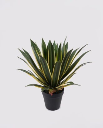 Artificial Plant 30*30*33cm Agave in PP pot/37 lvs GS-41925013 2025May YeahFlower is one of Chinese leading OEM manufacturers and exporters , supplying the silk flowers, wholesale artificial trees