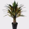 Artificial Plant Agave in PP pot 56 lvs GS-41925009_4 Artificial Plant 80*80*120cm Agave in PP pot/56 lvs GS-41925009 2025May YeahFlower is one of Chinese leading OEM manufacturers and exporters , supplying the silk flowers, wholesale artificial trees