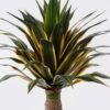 Artificial Plant Agave in PP pot 56 lvs GS-41925009_8 Artificial Plant 80*80*120cm Agave in PP pot/56 lvs GS-41925009 2025May YeahFlower is one of Chinese leading OEM manufacturers and exporters , supplying the silk flowers, wholesale artificial trees