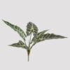 Artificial Plant 28*28*56cm Alocasia *5 bush GS-72725012-G1 2025Jun 3,000+ sqm showroom with thousands of artificial flowers, plants & trees ready for global sourcing.