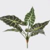 Artificial Plant 28*28*56cm Alocasia *5 bush GS-72725012-G1 2025Jun 3,000+ sqm showroom with thousands of artificial flowers, plants & trees ready for global sourcing.