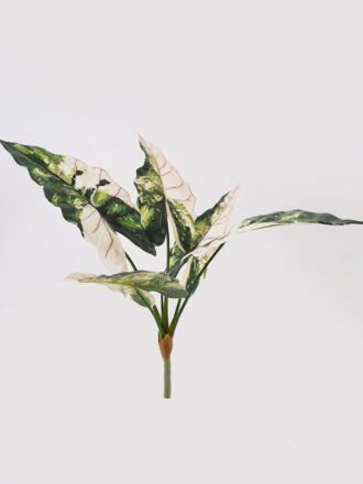 Artificial Plant 21*21*45cm Brasiletto  bush/12 lvs GS-72725013 2025Jun 3,000+ sqm showroom with thousands of artificial flowers, plants & trees ready for global sourcing.