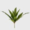 Artificial Plant 21*21*45cm Brasiletto  bush/12 lvs GS-72725013-G2 2025Jun 3,000+ sqm showroom with thousands of artificial flowers, plants & trees ready for global sourcing.