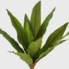 Artificial Plant 21*21*45cm Brasiletto  bush/12 lvs GS-72725013-G2 2025Jun 3,000+ sqm showroom with thousands of artificial flowers, plants & trees ready for global sourcing.