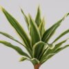 Artificial Plant 20*20*44cm Brasiletto  bush/15  lvs GS-72725014-G3 2025Jun 3,000+ sqm showroom with thousands of artificial flowers, plants & trees ready for global sourcing.