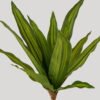 Artificial Plant 20*20*44cm Brasiletto  bush/15  lvs GS-72725014 2025Jun 3,000+ sqm showroom with thousands of artificial flowers, plants & trees ready for global sourcing.