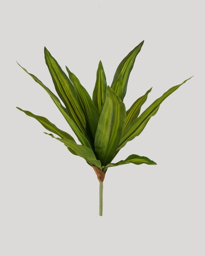 Artificial Plant 20*20*44cm Brasiletto  bush/15  lvs GS-72725014 2025Jun 3,000+ sqm showroom with thousands of artificial flowers, plants & trees ready for global sourcing.