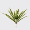 Artificial Plant 29*29*53cm Brasiletto bush/20 lvs GS-72725015-G3 2025Jun 3,000+ sqm showroom with thousands of artificial flowers, plants & trees ready for global sourcing.