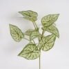Artificial Plant Caladium bicolor single stem GS-51625020_2 Artificial Plant 26*26*54cm Caladium bicolor single stem GS-51625020 2025May YeahFlower is one of Chinese leading OEM manufacturers and exporters , supplying the silk flowers, wholesale artificial trees