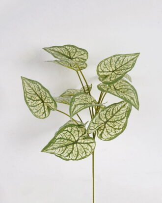 Artificial Plant 26*26*54cm Caladium bicolor  single stem GS-51625020 2025May YeahFlower is one of Chinese leading OEM manufacturers and exporters , supplying the silk flowers, wholesale artificial trees