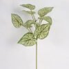 Artificial Plant Caladium bicolor single stem GS-51625020_3 Artificial Plant 26*26*54cm Caladium bicolor single stem GS-51625020 2025May YeahFlower is one of Chinese leading OEM manufacturers and exporters , supplying the silk flowers, wholesale artificial trees