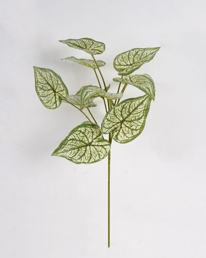 Artificial Plant Caladium bicolor single stem GS-51625020_3 Artificial Plant 26*26*54cm Caladium bicolor single stem GS-51625020 2025May YeahFlower is one of Chinese leading OEM manufacturers and exporters , supplying the silk flowers, wholesale artificial trees