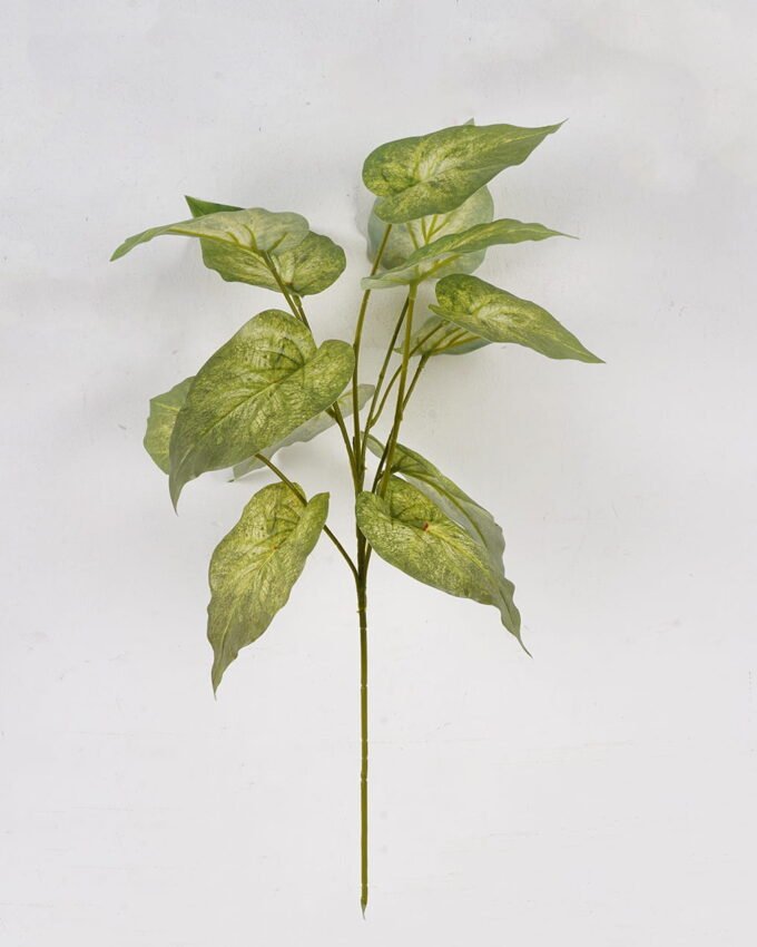 Artificial Plant Caladium bicolor single stem GS-51625020_4 Artificial Plant 26*26*54cm Caladium bicolor single stem GS-51625020 2025May YeahFlower is one of Chinese leading OEM manufacturers and exporters , supplying the silk flowers, wholesale artificial trees