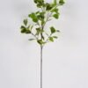 Artificial Plant Ficus lvs single stem GS-51625019_6 Artificial Plant 16*16*79cm Ficus lvs single stem GS-51625019 2025May YeahFlower is one of Chinese leading OEM manufacturers and exporters , supplying the silk flowers, wholesale artificial trees