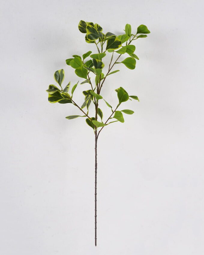 Artificial Plant Ficus lvs single stem GS-51625019_6 Artificial Plant 16*16*79cm Ficus lvs single stem GS-51625019 2025May YeahFlower is one of Chinese leading OEM manufacturers and exporters , supplying the silk flowers, wholesale artificial trees