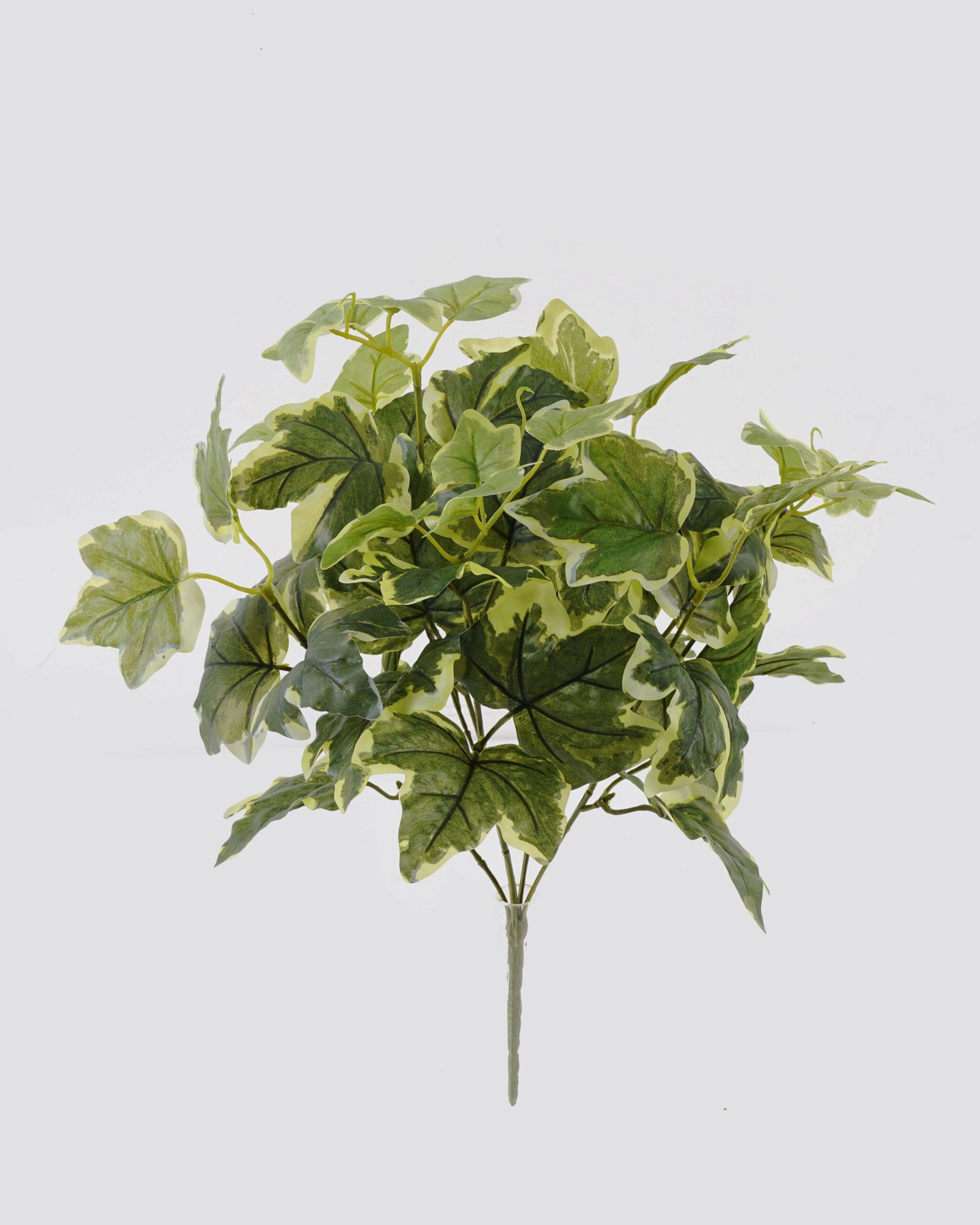 Artificial-Plant-Fittonia-Bush-7-50lvs-GS-29825010_3-1.jpg Artificial Plant 25*45CM Fittonia Bush x7/50lvs GS-29825010 2025May YeahFlower is one of Chinese leading OEM manufacturers and exporters , supplying the silk flowers, wholesale artificial trees