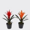 Artificial Plant 16*16*25cm Flower in PP pot/11 lvs GS-41925032 2025May YeahFlower is one of Chinese leading OEM manufacturers and exporters , supplying the silk flowers, wholesale artificial trees