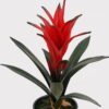 Artificial Plant 16*16*25cm Flower in PP pot/11 lvs GS-41925032 2025May YeahFlower is one of Chinese leading OEM manufacturers and exporters , supplying the silk flowers, wholesale artificial trees