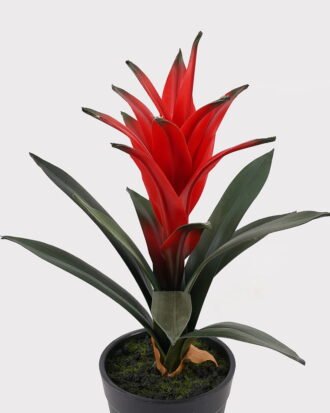 Artificial Plant 16*16*25cm Flower in PP pot/11 lvs GS-41925032 2025May YeahFlower is one of Chinese leading OEM manufacturers and exporters , supplying the silk flowers, wholesale artificial trees