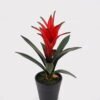 Artificial Plant 16*16*25cm Flower in PP pot/11 lvs GS-41925032 2025May YeahFlower is one of Chinese leading OEM manufacturers and exporters , supplying the silk flowers, wholesale artificial trees