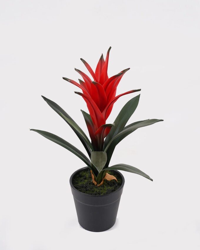 Artificial Plant 16*16*25cm Flower in PP pot/11 lvs GS-41925032 2025May YeahFlower is one of Chinese leading OEM manufacturers and exporters , supplying the silk flowers, wholesale artificial trees