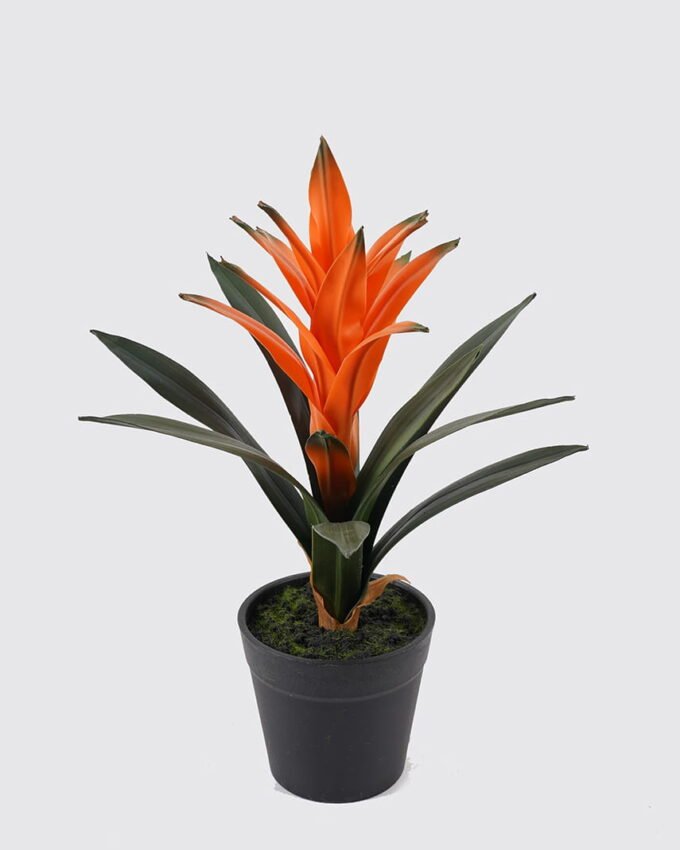 Artificial Plant 16*16*25cm Flower in PP pot/11 lvs GS-41925032 2025May YeahFlower is one of Chinese leading OEM manufacturers and exporters , supplying the silk flowers, wholesale artificial trees