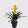 Artificial Plant Flower in PP pot 21 lvs GS-41925018_1 Artificial Plant 45*45*62cm Flower in PP pot/21 lvs GS-41925018 2025May YeahFlower is one of Chinese leading OEM manufacturers and exporters , supplying the silk flowers, wholesale artificial trees