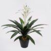 Artificial Plant 45*45*58cm Flower in PP pot/26 lvs GS-41925023 2025May YeahFlower is one of Chinese leading OEM manufacturers and exporters , supplying the silk flowers, wholesale artificial trees