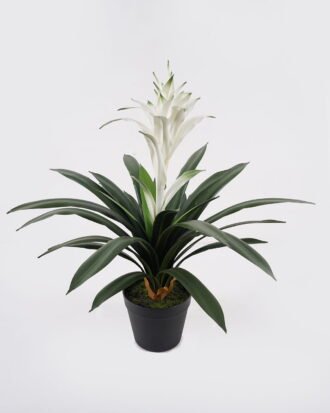 Artificial Plant 45*45*58cm Flower in PP pot/26 lvs GS-41925023 2025May YeahFlower is one of Chinese leading OEM manufacturers and exporters , supplying the silk flowers, wholesale artificial trees