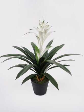 Artificial Plant 60*60*70cm Flower in PP pot/26 lvs GS-41925022 2025May 3,000+ sqm showroom with thousands of artificial flowers, plants & trees ready for global sourcing.