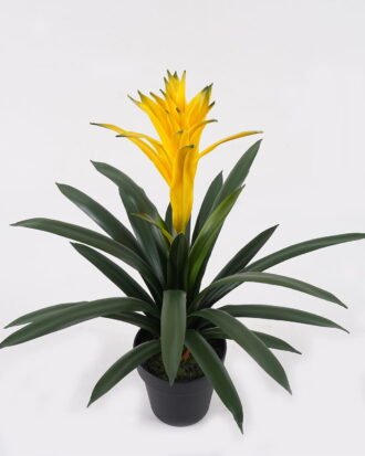 Artificial Plant 45*45*55cm Flower in PP pot/26 lvs GS-41925030 2025May YeahFlower is one of Chinese leading OEM manufacturers and exporters , supplying the silk flowers, wholesale artificial trees