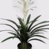 Artificial Plant 50*50*61cm Flower in PP pot/31 lvs GS-41925028 2025May YeahFlower is one of Chinese leading OEM manufacturers and exporters , supplying the silk flowers, wholesale artificial trees