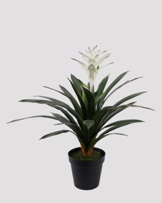 Artificial Plant 70*70*83cm Flower in PP pot/32 lvs GS-41925026 2025May YeahFlower is one of Chinese leading OEM manufacturers and exporters , supplying the silk flowers, wholesale artificial trees