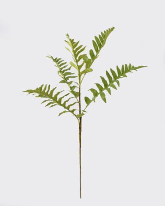 Artificial Plant 24*24*79cm Frond *5 single stem GS-78825024 2025Jun YeahFlower is one of Chinese leading OEM manufacturers and exporters , supplying the silk flowers, wholesale artificial trees