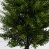 Artificial Plant 26*90cm Full PE Cypress Tree GS-77225004KD 2025Jun YeahFlower is one of Chinese leading OEM manufacturers and exporters , supplying the silk flowers, wholesale artificial trees