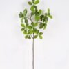 Artificial Plant Gardenia single stem GS-51625008 Artificial Plant 27*27*73cm Gardenia single stem GS-51625008 2025May YeahFlower is one of Chinese leading OEM manufacturers and exporters , supplying the silk flowers, wholesale artificial trees