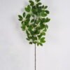 Artificial Plant 25*25*87cm Goose claw lvs single stem GS-51625024 2025May YeahFlower is one of Chinese leading OEM manufacturers and exporters , supplying the silk flowers, wholesale artificial trees