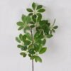 Artificial Plant 20*20*73cm Goose claw lvs single stem GS-51625025 2025May YeahFlower is one of Chinese leading OEM manufacturers and exporters , supplying the silk flowers, wholesale artificial trees
