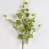 Artificial Plant Grape lvs 5 single stem GS-51625011_1 Artificial Plant 28*28*96cm Grape lvs *5 single stem GS-51625011 2025May YeahFlower is one of Chinese leading OEM manufacturers and exporters , supplying the silk flowers, wholesale artificial trees