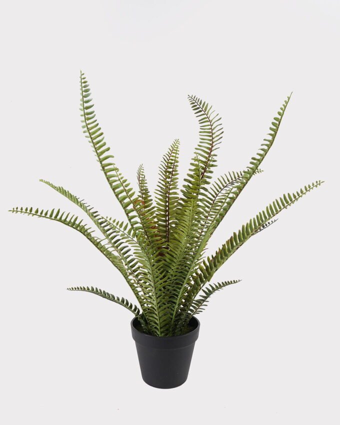 Artificial Plant 40*40*54cm Grass in PP pot/21 lvs GS-57625003 2025May 3,000+ sqm showroom with thousands of artificial flowers, plants & trees ready for global sourcing.