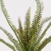 Artificial Plant 40*40*54cm Grass in PP pot/21 lvs GS-57625003 2025May 3,000+ sqm showroom with thousands of artificial flowers, plants & trees ready for global sourcing.