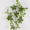 Artificial Plant Island spring lvs single stem GS-51625006_2 Artificial Plant 22*22*82cm Island spring lvs single stem GS-51625006 2025May YeahFlower is one of Chinese leading OEM manufacturers and exporters , supplying the silk flowers, wholesale artificial trees