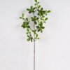 Artificial Plant Island spring lvs single stem GS-51625006_3 Artificial Plant 22*22*82cm Island spring lvs single stem GS-51625006 2025May YeahFlower is one of Chinese leading OEM manufacturers and exporters , supplying the silk flowers, wholesale artificial trees