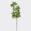 Artificial Plant 20*20*78cm Leaf *10 single stem /10 lvs GS-26225008 2025May YeahFlower is one of Chinese leading OEM manufacturers and exporters , supplying the silk flowers, wholesale artificial trees