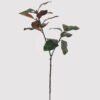 Artificial Plant 30*30*115cm Leaf *2 single stem/17 lvs GS-72725023-G1 2025Jun 3,000+ sqm showroom with thousands of artificial flowers, plants & trees ready for global sourcing.